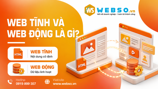Web tĩnh và web động là gì?